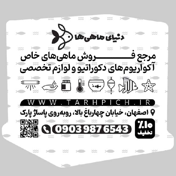 دانلود کارت ویزیت آکواریوم دنیای ماهی ها