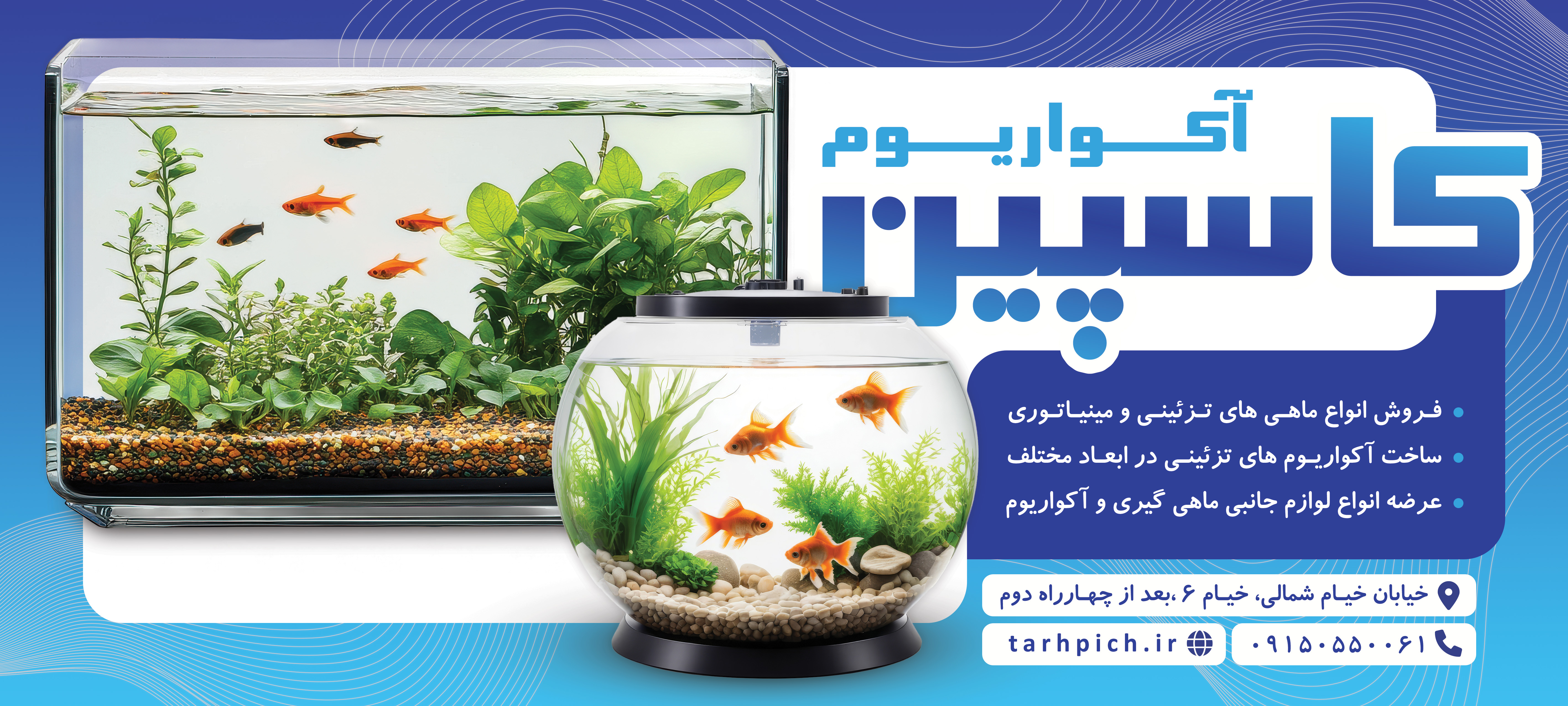 دانلود بنرسر در مغازه فروشگاه آکواریوم کاسپین