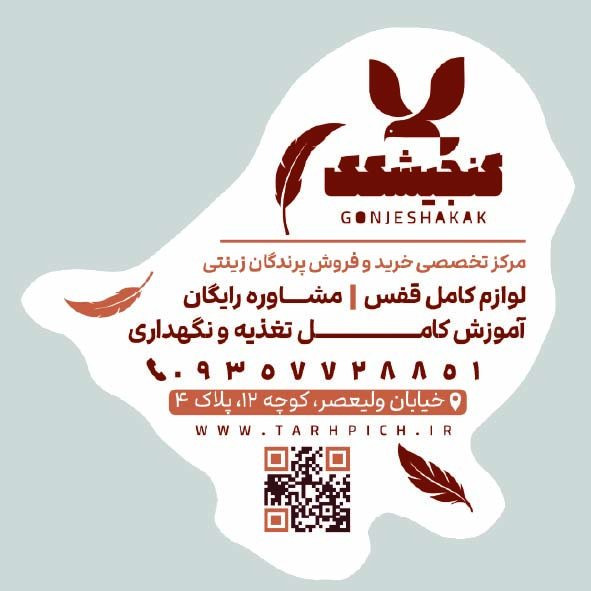 دانلود کارت ویزیت پرنده فروشی گنجیشکک