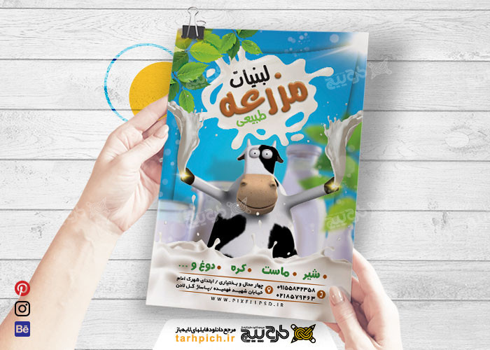 دانلود تراکت لبنیاتی مزرعه با عکس گاو