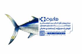 دانلود کارت ویزیت پرورش ماهی هامون