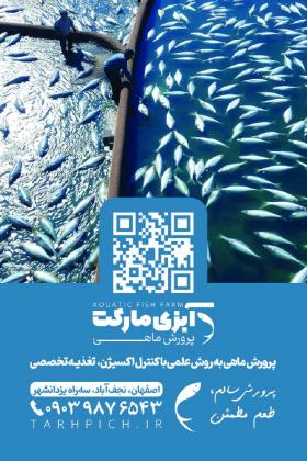 دانلود کارت ویزیت پرورش ماهی آبزی مارکت