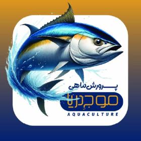 دانلود کارت ویزیت پرورش ماهی موج دریا