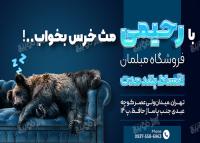 دانلود بنر فروشگاه مبلمان رحیمی