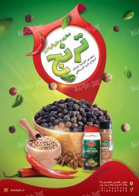 دانلود تراکت فروشگاه عطاری و گیاهان دارویی ترنجک