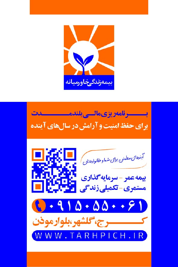 دانلود کارت ویزیت عمودی بیمه دی نمایندگی هاشمی