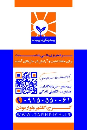دانلود کارت ویزیت عمودی بیمه دی نمایندگی هاشمی