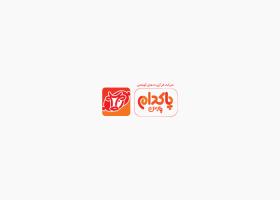دانلود لوگو پاکدام پارس