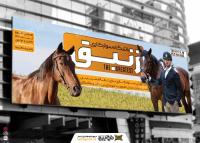 دانلود بنر سوارکاری باشگاه زنبق