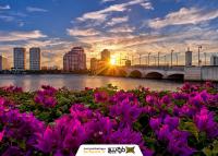 دانلود عکس با کیفیت شهر و ساختمان ها از نمای دور به همراه گل های بنفش