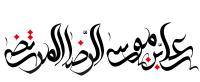دانلود تایپوگرافی علی ابن موسی الرضا المرتضی