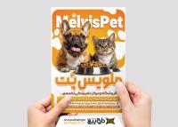 دانلود تراکت متخصص دامپزشکی و پت شاپ ملویس