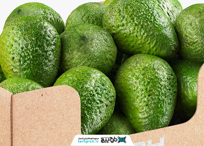 دانلود موکاپ بسته بندی مقوایی میوه آواکادو