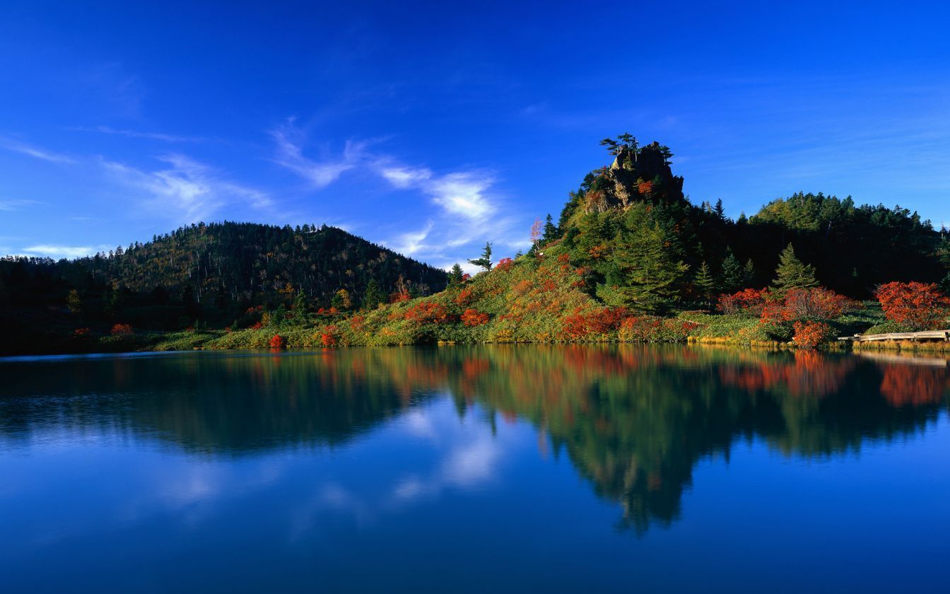 دانلود تصویر استوک طبیعت زیبا