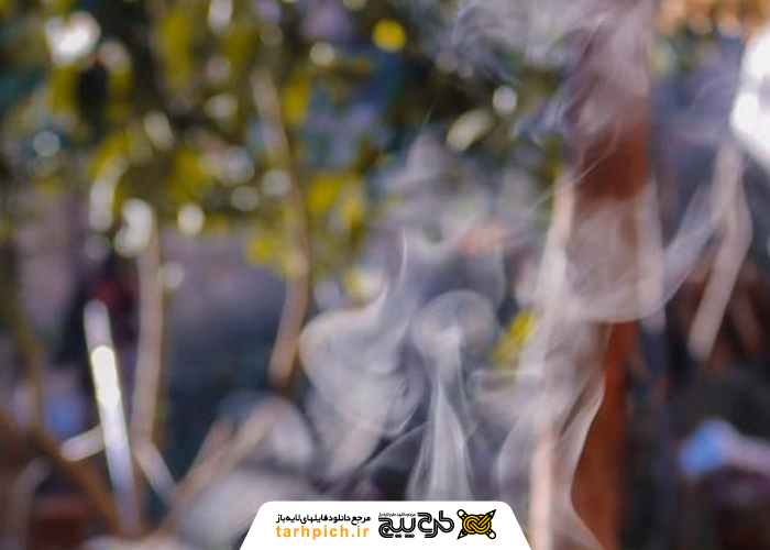 دانلود تصویر استوک 3 فنجان چینی در طبیعت