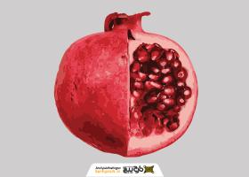 دانلود تصویر انار دوربری قاچ خورده زیبا