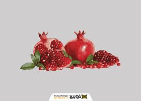 دانلود تصویر انار کنار عکس دون شده به صورت پی ان جی