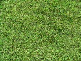 دانلود تصویر استوک تکسچر چمن برای تری دی مکس