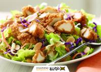 دانلود تصویر استوک سالاد مرغ (chicken salad)