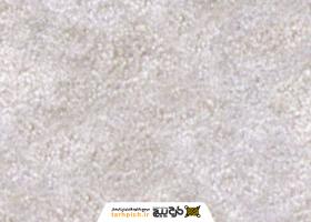 دانلود تصویر استوک تکسچر موکت ساده شیری رنگ