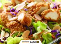 دانلود تصویر استوک سالاد مرغ (chicken salad)