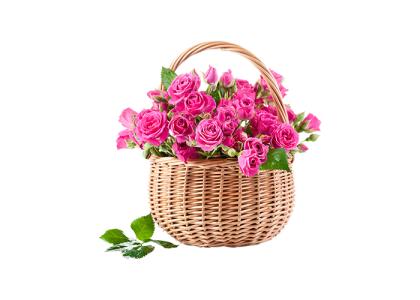 دانلود تصویر گل داخل سبد دسته دار