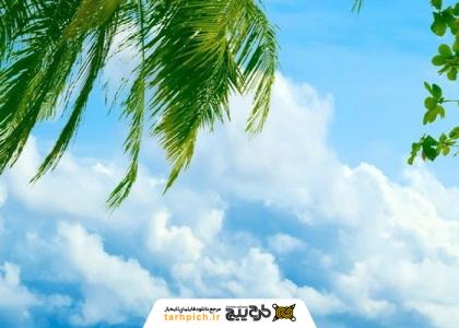 دانلود تصویر استوک تصویر زمینه ساحل آفتابی برای آیفون 7