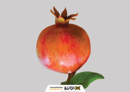دانلود عکس انار با شاخه پی ان جی