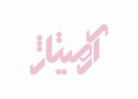 دانلود لوگو چینی بهداشتی آرمیتاژ