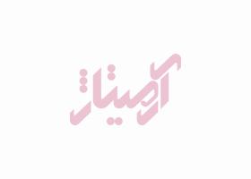 دانلود لوگو چینی بهداشتی آرمیتاژ