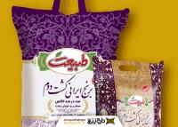 دانلود لوگو شرکت صنایع غذایی طبیعت