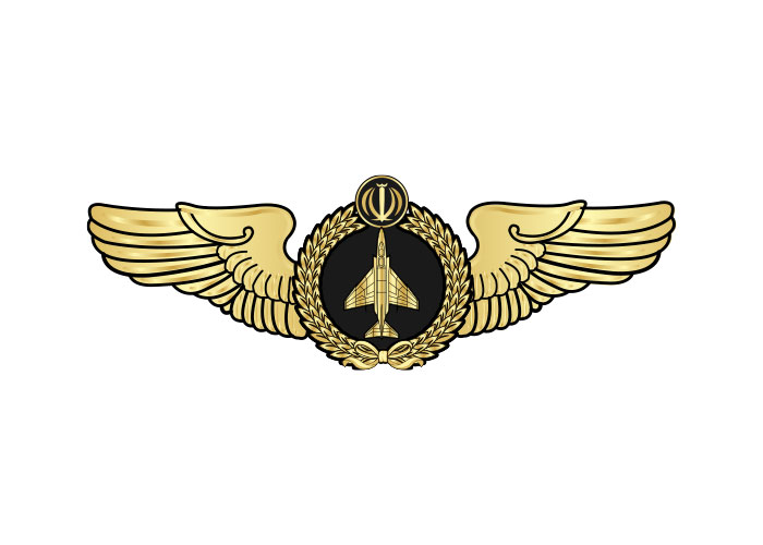 دانلود لوگو بال خلبانی جنگنده F4