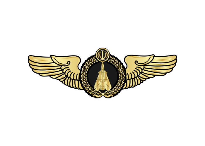 دانلود لوگو بال خلبانی جنگنده F14