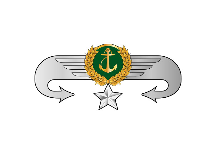 دانلود لوگو سینه مربی درجه سه هواناو