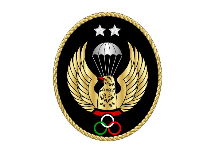 دانلود لوگو چتربازی سقوط آزاد درجه دو