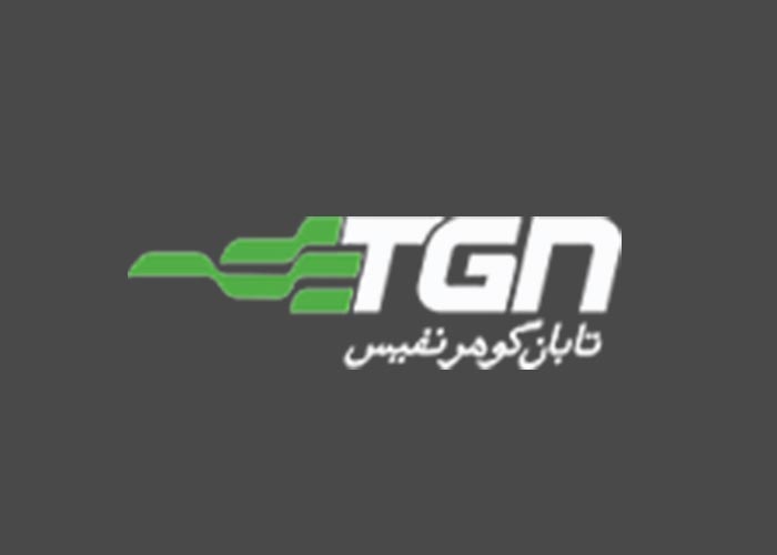 دانلود لوگو شرکت مه ساز امنیتی تابان گوهر نفیس