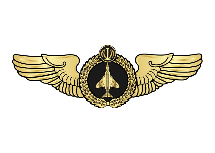 دانلود لوگو بال خلبانی جنگنده F4