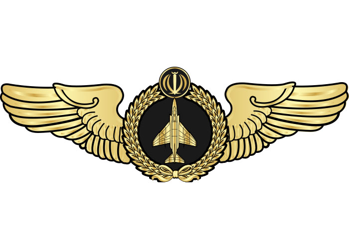 دانلود لوگو بال خلبانی جنگنده F4