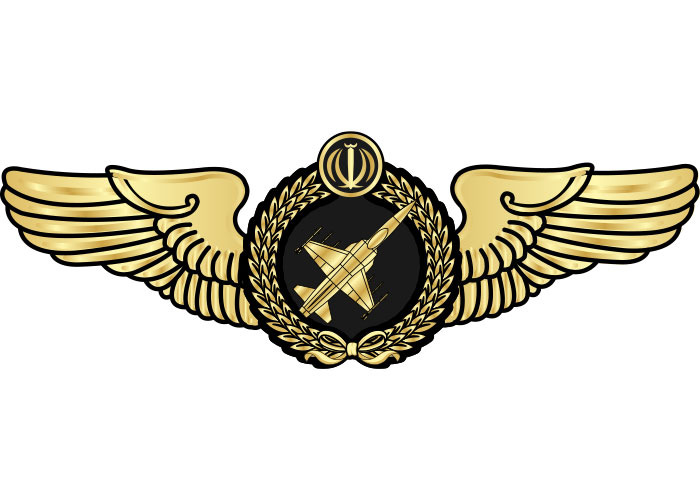 دانلود لوگو بال خلبانی جنگنده F5