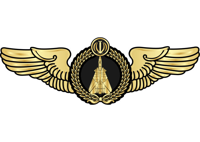 دانلود لوگو بال خلبانی جنگنده F14