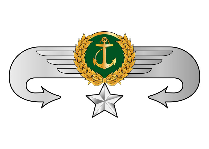 دانلود لوگو سینه مربی درجه سه هواناو