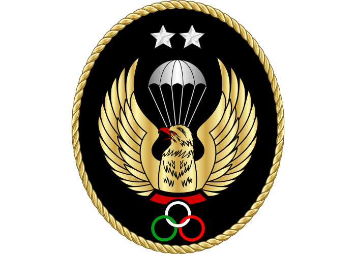 دانلود لوگو چتربازی سقوط آزاد درجه دو