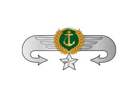 دانلود لوگو سینه مربی درجه سه هواناو