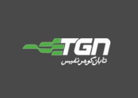 دانلود لوگو شرکت مه ساز امنیتی تابان گوهر نفیس