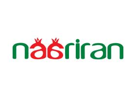 دانلود لوگو نارایران