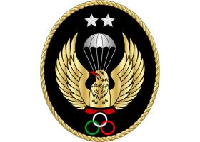 دانلود لوگو چتربازی سقوط آزاد درجه دو