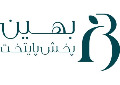 دانلود لوگو بهین بخش پایتخت