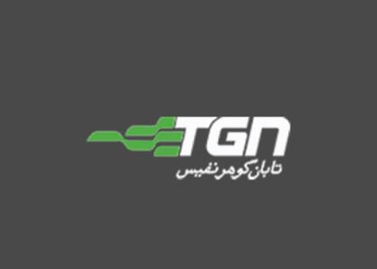 دانلود لوگو شرکت مه ساز امنیتی تابان گوهر نفیس