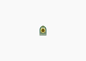 دانلود لوگو ناجا