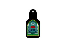 دانلود لوگو سینه دوره علمی فرماندهی انتظامی